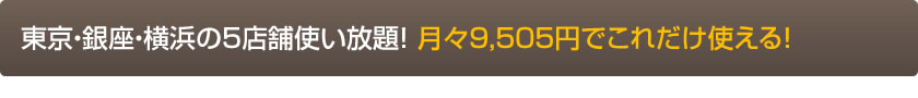 東京・銀座・横浜の5店舗使い放題！ 月々9,505円でこれだけ使える！